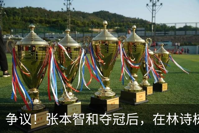 争议！张本智和夺冠后，在林诗栋球迷面前做出挑衅动作，手指日本国旗