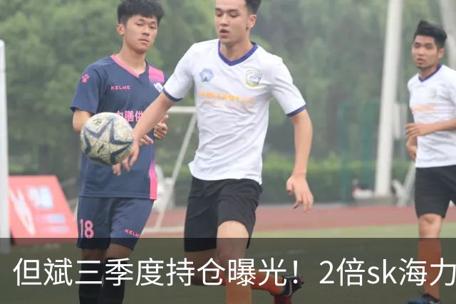 但斌三季度持仓曝光！2倍sk海力士或浮亏40%