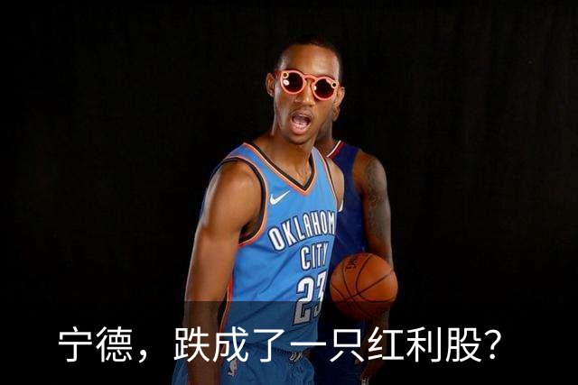 宁德，跌成了一只红利股？