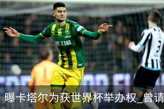 曝卡塔尔为获世界杯举办权 曾请前CIA特工监听FIFA