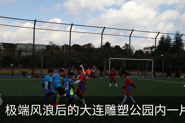 极端风浪后的大连雕塑公园内一片狼藉！维修方案正在审批中