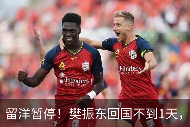 留洋暂停！樊振东回国不到1天，正式官宣新身份，终于等到这一天