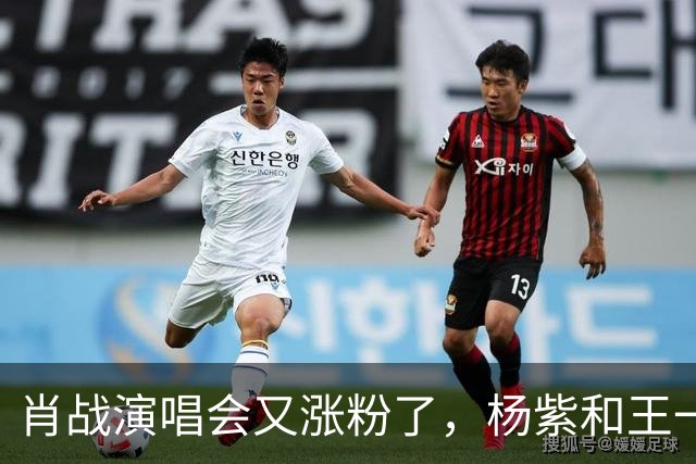 肖战演唱会又涨粉了，杨紫和王一博都被照顾了！