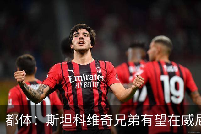 都体：斯坦科维奇兄弟有望在威尼斯与国米比赛中同场竞技